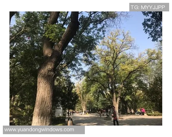 怀念已故足球明星们的辉煌岁月与传奇人生回顾 怀念已故足球明星们的辉煌岁月与传奇人生回顾