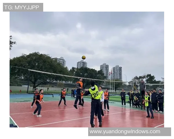 重庆排球队的拼搏之路与荣耀时刻的精彩回顾 重庆排球队的拼搏之路与荣耀时刻的精彩回顾