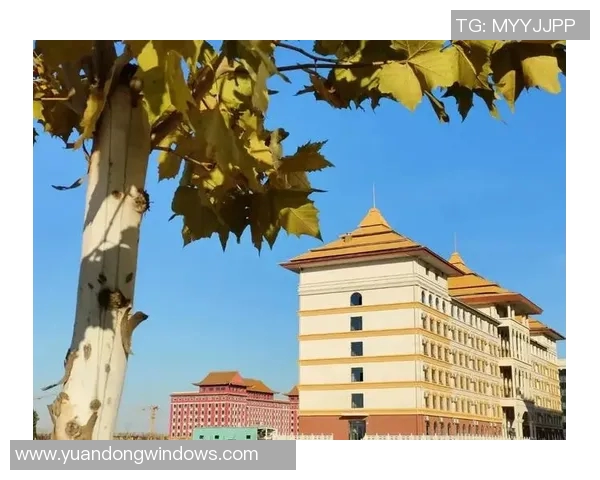 重庆网球队的崛起之路:从默默无闻到总决赛的辉煌历程 重庆网球队的崛起之路:从默默无闻到总决赛的辉煌历程