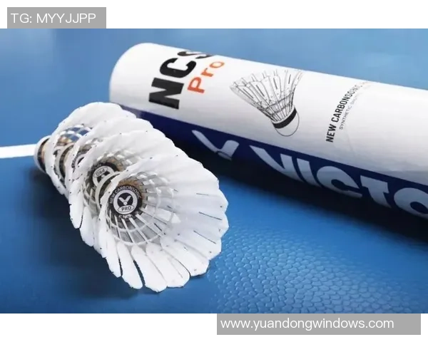 羽毛球灵活性排名揭晓南京羽毛球队荣登第七位引发关注