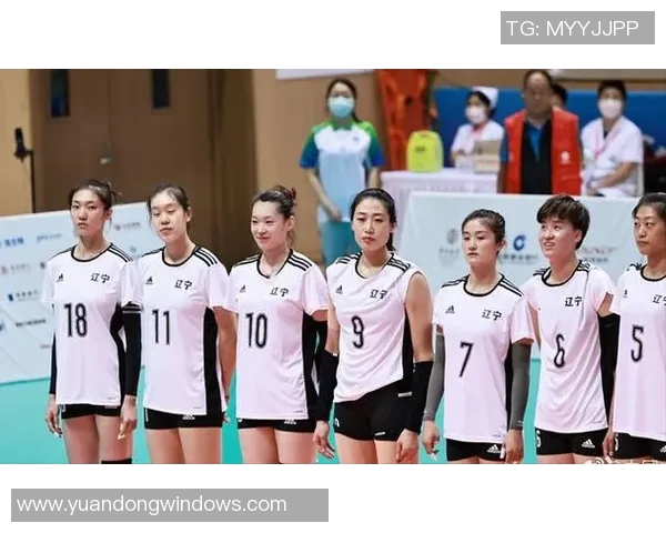 南京排球队灵活性引发热议球迷与专家观点交锋探讨球队战术调整