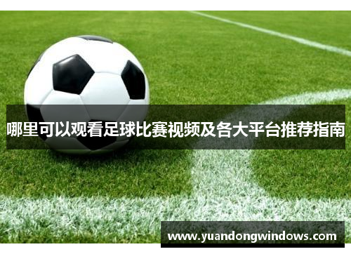 哪里可以观看足球比赛视频及各大平台推荐指南