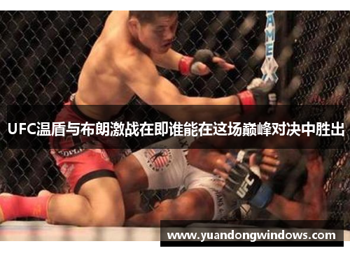 UFC温盾与布朗激战在即谁能在这场巅峰对决中胜出